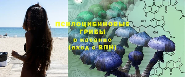 гидропоника Беломорск