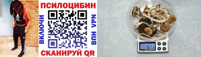 Галлюциногенные грибы Psilocybe  Елизово 